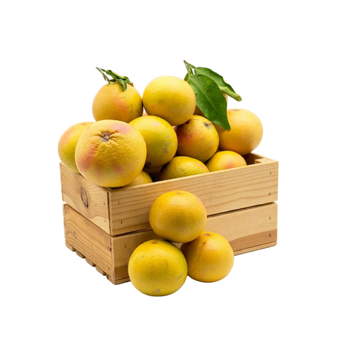 Pompelmi