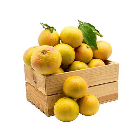 Pompelmi