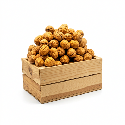 Noci
