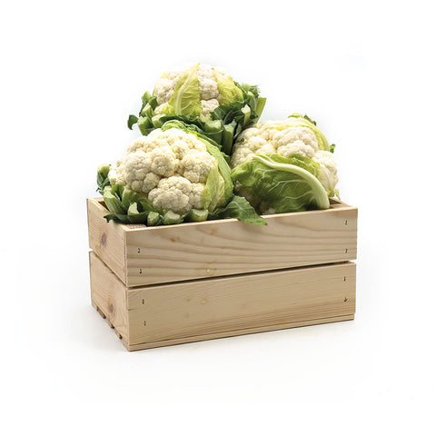 Cavolfiore Bianco