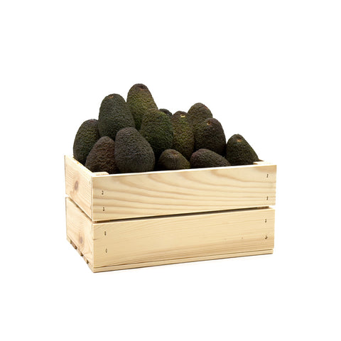 Avocado