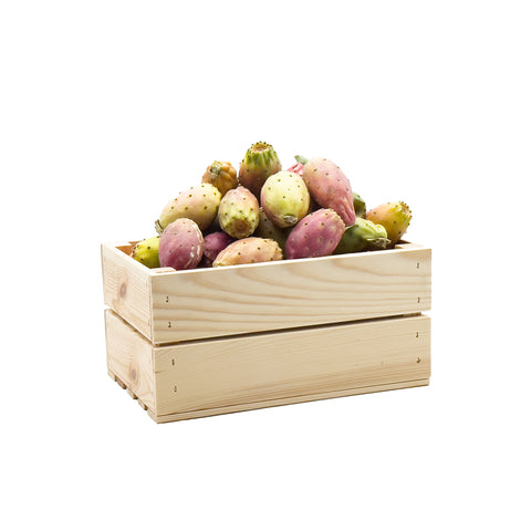 Fichi D'India