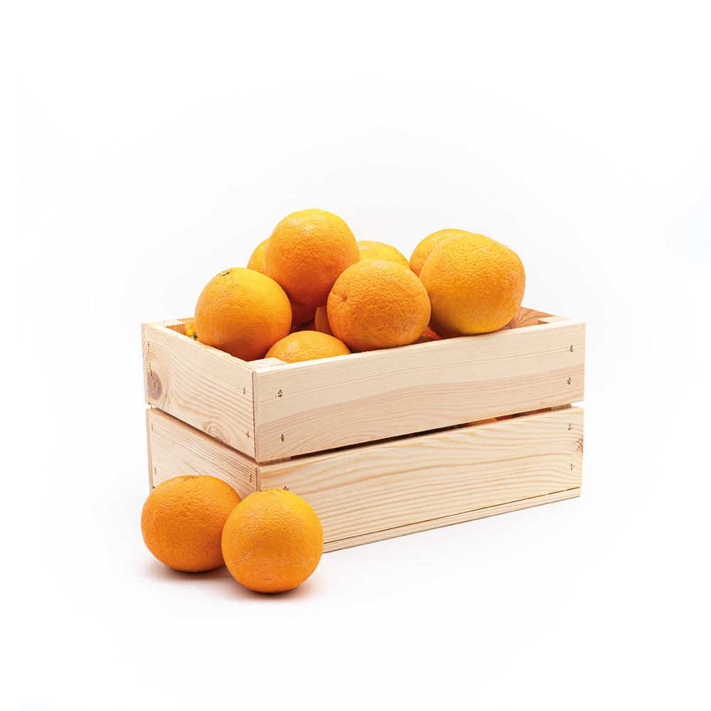 Tramontana-Arancia Estiva