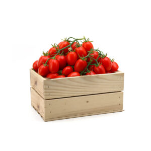 Pomodoro Datterino