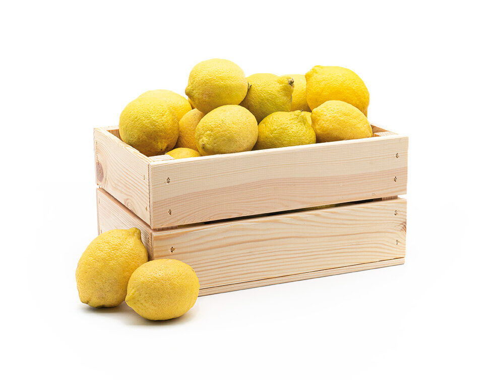 Tramontana - Limoni di Sicilia