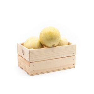 Tramontana - Melone giallo di Sicilia